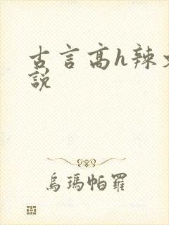古言高h辣文小说