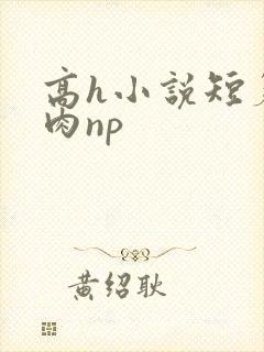 高h小说短篇纯肉np