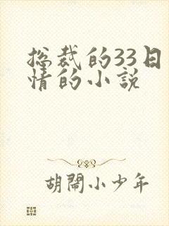 总裁的33日索情的小说