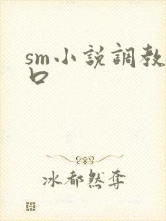 sm小说调教重口