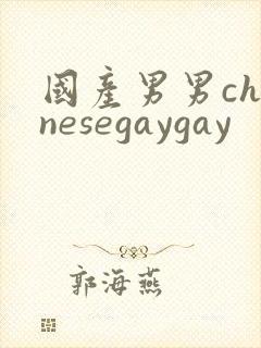 国产男男chinesegaygay封面