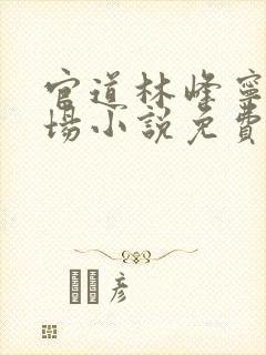 官道林峰宁欣官场小说免费阅读