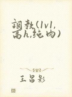 调教(1v1,高h,纯肉)