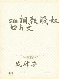 sm调教贱奴重口h文