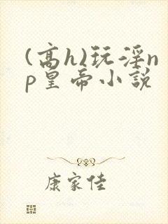 (高h)玩淫np皇帝小说