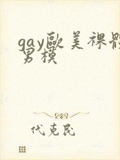gay欧美裸体男模封面