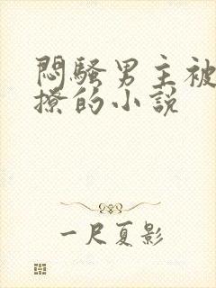 闷骚男主被女主撩的小说