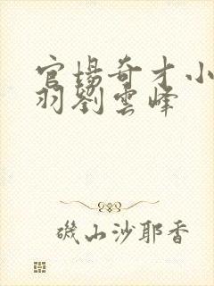 官场奇才小说陆羽刘云峰