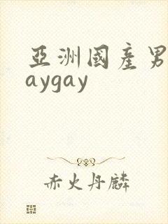 亚洲国产男同gaygay