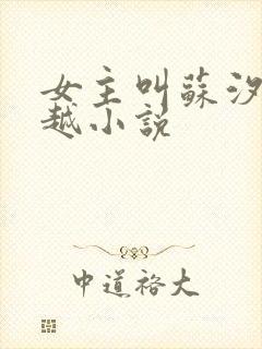 女主叫苏汐的穿越小说