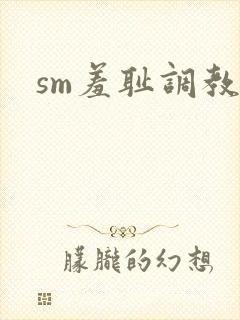 sm羞耻调教文
