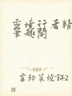 灵境行者精校版笔趣阁