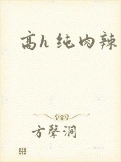 高h 纯肉辣文封面