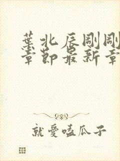 叶北辰刚刚更新章节最新章节免费阅读封面