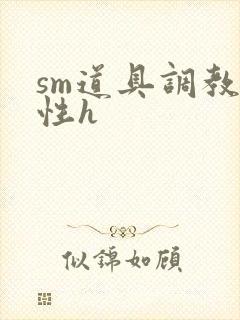 sm道具调教双性h