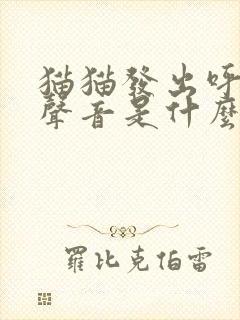 猫猫发出呼呼的声音是什么原因封面