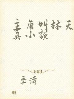 主角叫林天的修真小说