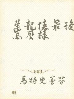 叶龙侠最后结局怎么样