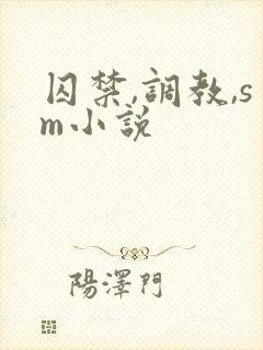 囚禁,调教,sm小说封面