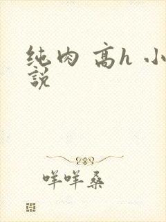纯肉 高h 小说