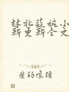 林北苏婉小说最新更新全文免费阅读