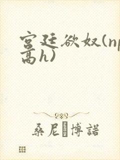 宫廷欲奴(np高h)