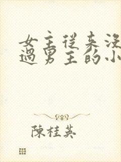 女主从来没有爱过男主的小说