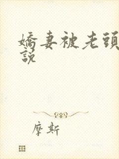 娇妻被老头干小说