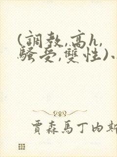 (调教,高h,骚受,双性)小说