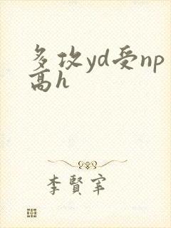 多攻yd受np高h