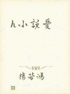 h小说爱