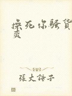 操死你骚货爽不爽封面