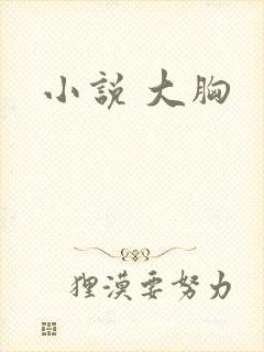 小说 大胸