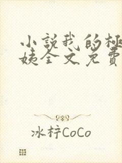 小说我的极品小姨全文免费阅读封面