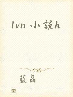 1vn 小说h封面