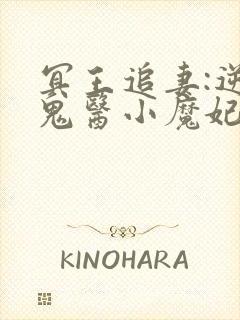 冥王追妻:逆天鬼医小魔妃