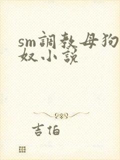 sm调教母狗女奴小说