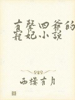 有声四爷的心尖宠妃小说