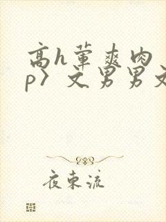 高h荤爽肉〈np〉文男男文