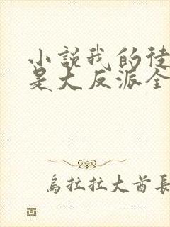 小说我的徒弟都是大反派全文下载