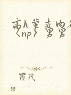 高h荤爽肉欲文〈np〉男男