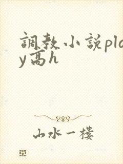 调教小说play高h封面