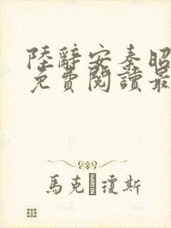 陆辞安秦昭全文免费阅读最新章节封面