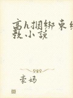 高h捆绑束缚调教小说封面