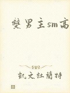 双男主sm高h