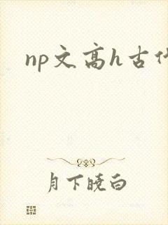 np文高h古代封面
