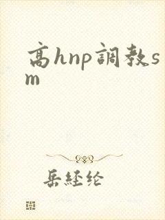 高hnp调教sm