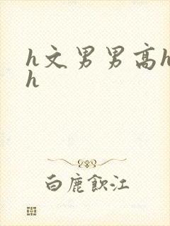 h文男男高hhh封面