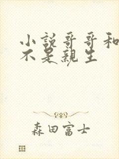 小说哥哥和妹妹不是亲生