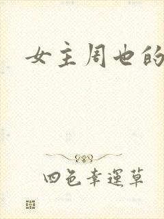 女主周也的小说封面